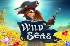 Wild seas slot